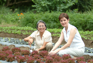 blurb_15_54_ph_gardening.jpg